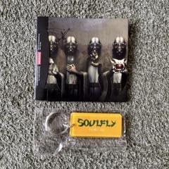 2025年最新】soulfly レコードの人気アイテム - メルカリ