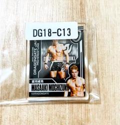 望月成晃アクリルバッジ