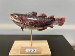アンティーク木彫り魚2匹 木製 魚板 木魚 お寺 法具 かいぱん 自在鉤 縁起物 江戸 明治