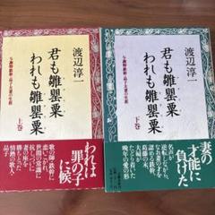 君も雛罌粟　われも雛罌粟　上下巻セット