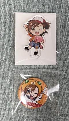 すにすて たちばな アクスタ サイン入り缶バッジ アクリルスタンド STPR所属のたちばな(すにすて)、誕生日の6月21日に描き下ろし