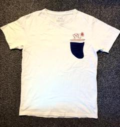 TES エンドレスサマー　プルート　Tシャツ 白　Sサイズ　パイル地 エンドレスサマー The Endless Summer TES Tシャツ カットソー