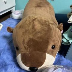 m85148906346_1.jpg?1745298404