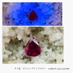 2023年最新】ピジョンブラッドの人気アイテム - メルカリ