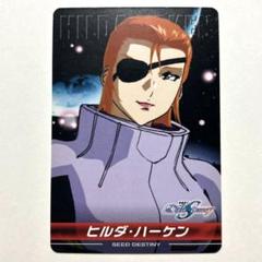 HG 1/144　ガンダムSEEDヒルダ機セット(新品未開封)+オマケ 613b9AxOm7L._UF894,1000_QL80_.jpg