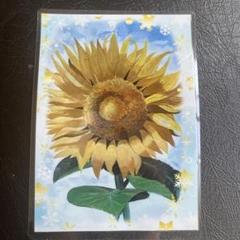 水彩画 ひまわり 絵画