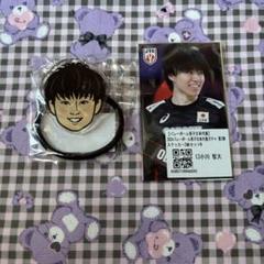 【新品未開封】小川智大 ぬいぐるみ ステッカー セット 小川智大ぬいぐるみキーホルダーのお散歩日記