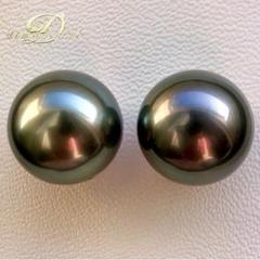 本真珠南洋黒蝶真珠　ダークグリーン9㍉s925ピアスBL620 8 - 10mm 黒蝶真珠ネックレス | Moon Label - 大月真珠