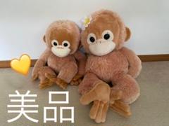 オラウータン　ベイビーココ　希少　ぬいぐるみ　正規品 Amazon.co.jp: Baby Coco オランウータン ぬいぐるみ S ベビー