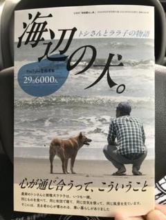 Amazon.co.jp: 田舎暮らしの本 2024年 8月号 海辺の犬 トシさん
