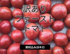 訳あり ファーストトマト 20キロ remon様専用 訳ありファーストトマト 資材込み20キロ - メルカリ