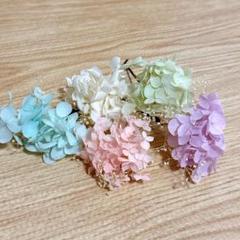 髪飾り ヘッドドレス プリザーブドフラワー 5色セット