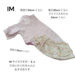 メルカリで1時間以内に売れなければ300円❗「幻のイタリアングレーハウンド」 m10849323768_1.jpg?1711008427