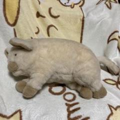 セキグチ　ブタ　ぬいぐるみ　中古品 セキグチ ブタ ぬいぐるみ 中古品 - メルカリ