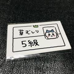 草むしり検定　5級　ハチワレ 1枚