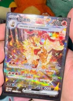 ポケモンカード　ウィンディex 絵違い　海外限定 海外限定】ポケモンカード ウィンディex SAR 絵違い 中国版