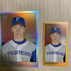 topps 206 矢澤宏太　50シリ　99シリ