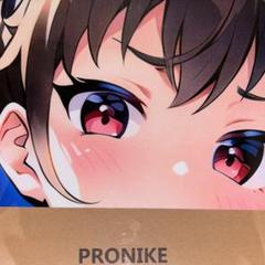 ライザ筋トレ抱き枕カバー系大判超大バスタオル毛布タペストリーMOEPRO特別版X Amazon | ライザ筋トレ抱き枕カバー系大判超大バスタオル毛布