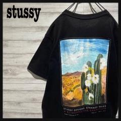 【即完売モデル】ステューシー☆バックビックロゴ　人気デザイン　半袖Ｔシャツ