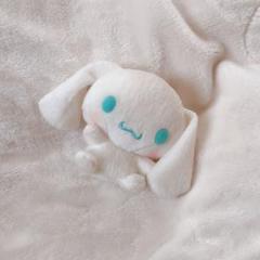 Amazon.co.jp: 20周年 ぬいぐるみ モカ シナモンロール : おもちゃ