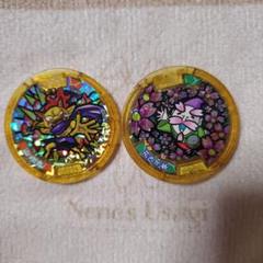 妖怪ウォッチ レジェンド妖怪メダル山吹鬼 花さか爺 二個セット