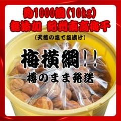 △人気爆発！紀州南高梅 樽 10kg 梅 無添加 和歌山 紀州 白梅
