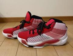 NIKE、JORDAN 38 PF、29センチ