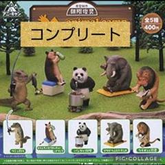 朝隈俊男 アニマルキャンプ part1とpart2 全１０種類 新品 朝隈俊男 アニマルキャンプ part1 part2 10種フルコンプリート