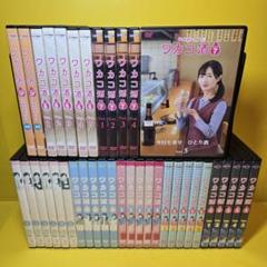 新品ケース交換済　ワカコ酒DVD シーズン1〜7+SP DVD全38巻セット 新品ケース交換済 ワカコ酒DVD シーズン1〜7+SP DVD全38巻セット