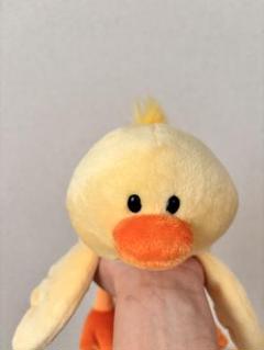 未使用　nici Plaza限定　ひよこ　ペンケース