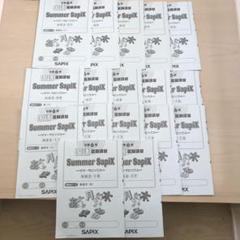 SAPIX 小学6年 国語 デイリー&春期&GS＆夏期セット 2023年度版 SAPIX 小学6年 社会 デイリー&春期＆GS＆夏期 フルセット2023