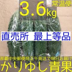 〈直売所コスパ最強〉沖縄県産 Ｏさんのゴーヤ 約6.4kg【常温便】① 最安挑戦！ 直売所コスパ最強〉沖縄県産 Oさんのゴーヤ 約6.4kg