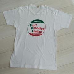80s screenstars ビンテージTシャツ 染込みプリント チャンピョン