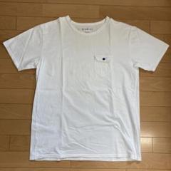 EEL イール　Tシャツ(L)