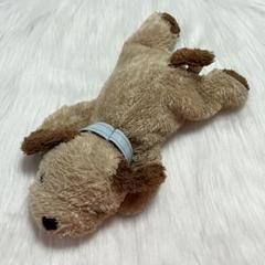 ナオズ シナダ ナオコ NAO'S イヌ ぬいぐるみ 犬 商品紹介 イヌ NEWレイジーパーティドック レイジーパーティ座り