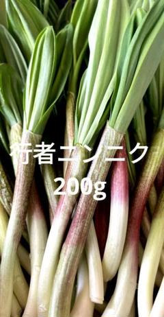 2025年最新】山菜・行者にんにくの苗の人気アイテム - メルカリ