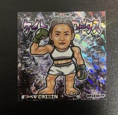 Amazon.co.jp: ④ケイトロータス Tシャツ RIZIN : おもちゃ