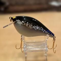 バルサ50 オリジナル SAURUS | ザウルス