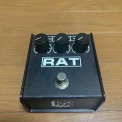 2025年最新】proco rat2 usaの人気アイテム - メルカリ