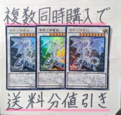 青き眼の巫女の中古 未使用品を探そう メルカリ