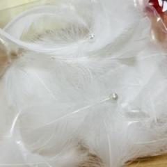 約60枚　フェザーシャワー 羽シャワー　40枚＋　パール付き　20枚　結婚式