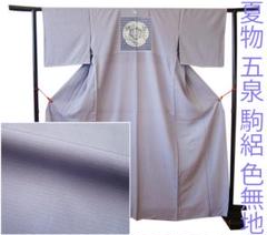 値下げ交渉OK！夏物 裄長め ロング寸 駒絽 色無地 五三桐 正絹