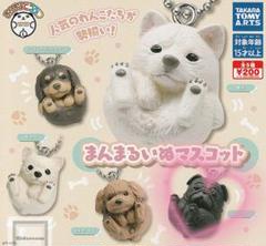 ♯Jqi22HZ　まんまるどうぶつ　まんまるいぬやんちゃ編　フルコンプ7種 Amazon.co.jp: まんまるどうぶつ まんまるいぬ 人気者編(再販