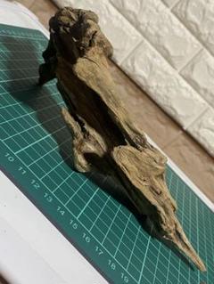 受注品：流木 流木 - 流木屋～流木販売・流木アート・水槽流木・流木オブジェ