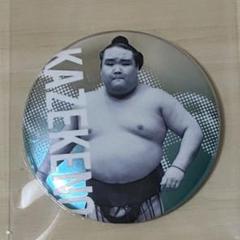 大相撲　風賢央　関取全員集合缶バッジ　ガチャ（7月名古屋場所）