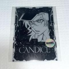 BLEACH サンシャインてんぼうパーク　特典　クリアカード　ハッシュヴァルト BLEACH ブリーチ てんぼうパーク 入場特典 クリアカード