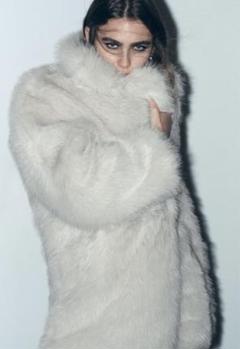2025年最新】ZARA フェイクファー zwの人気アイテム - メルカリ