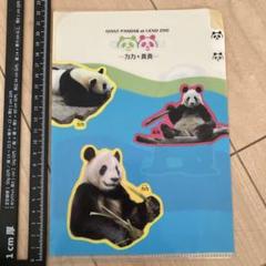 2025年最新】上野動物園クリアファイルの人気アイテム - メルカリ