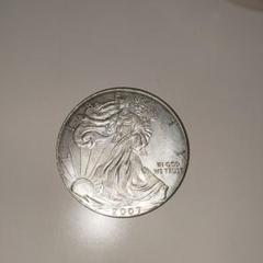 シルバーアメリカンイーグル 2004年 未流通 2025年最新】シルバー イーグル 銀貨の人気アイテム - メルカリ
