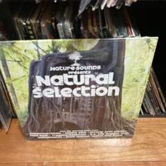 NATURE SOUNDS MF DOOM